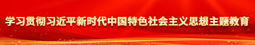 艹鸡污网站学习贯彻习近平新时代中国特色社会主义思想主题教育