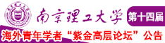 大鸡吧插逼吃奶视频南京理工大学第十四届海外青年学者紫金论坛诚邀海内外英才！